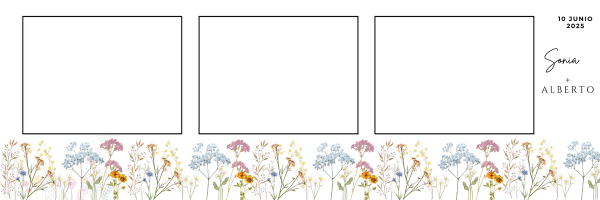 Plantilla seleccionada